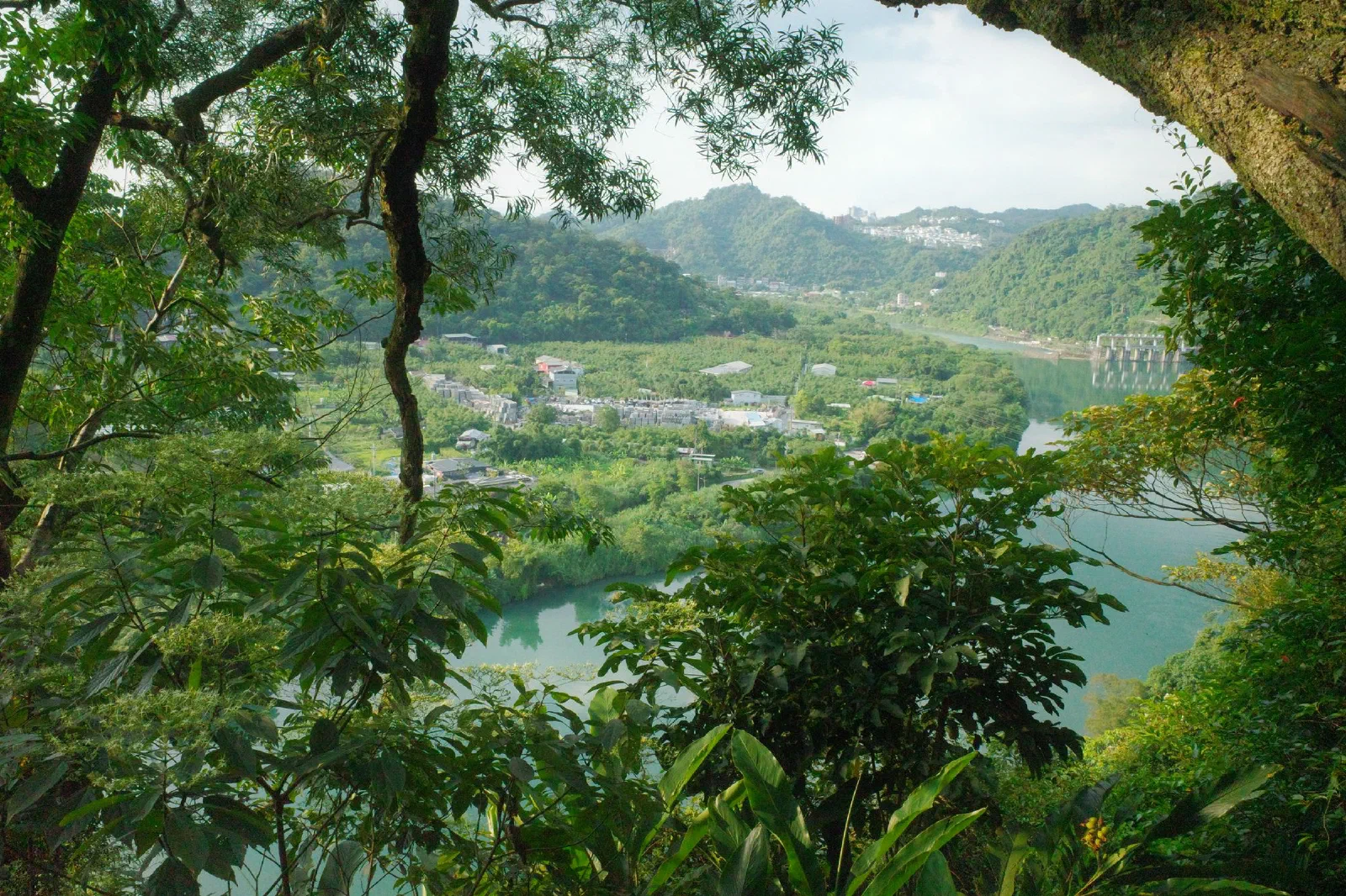 The river seen from above through tree branches, with a valley, farmland and green hills beyond.