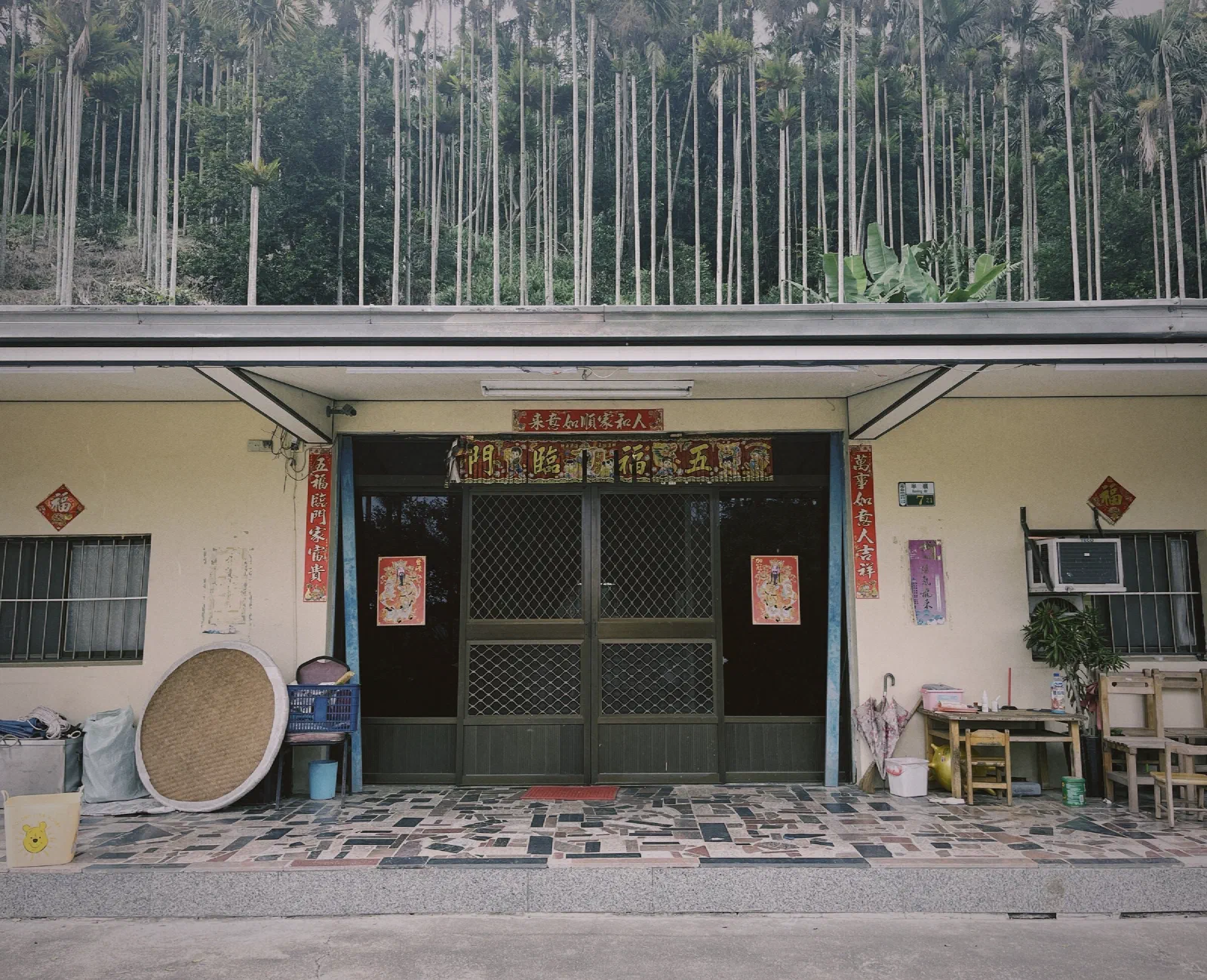 A village house with red New Year couplets and a rice-drying mat leaning by the door, beneath a hillside of tall, slender areca palms.