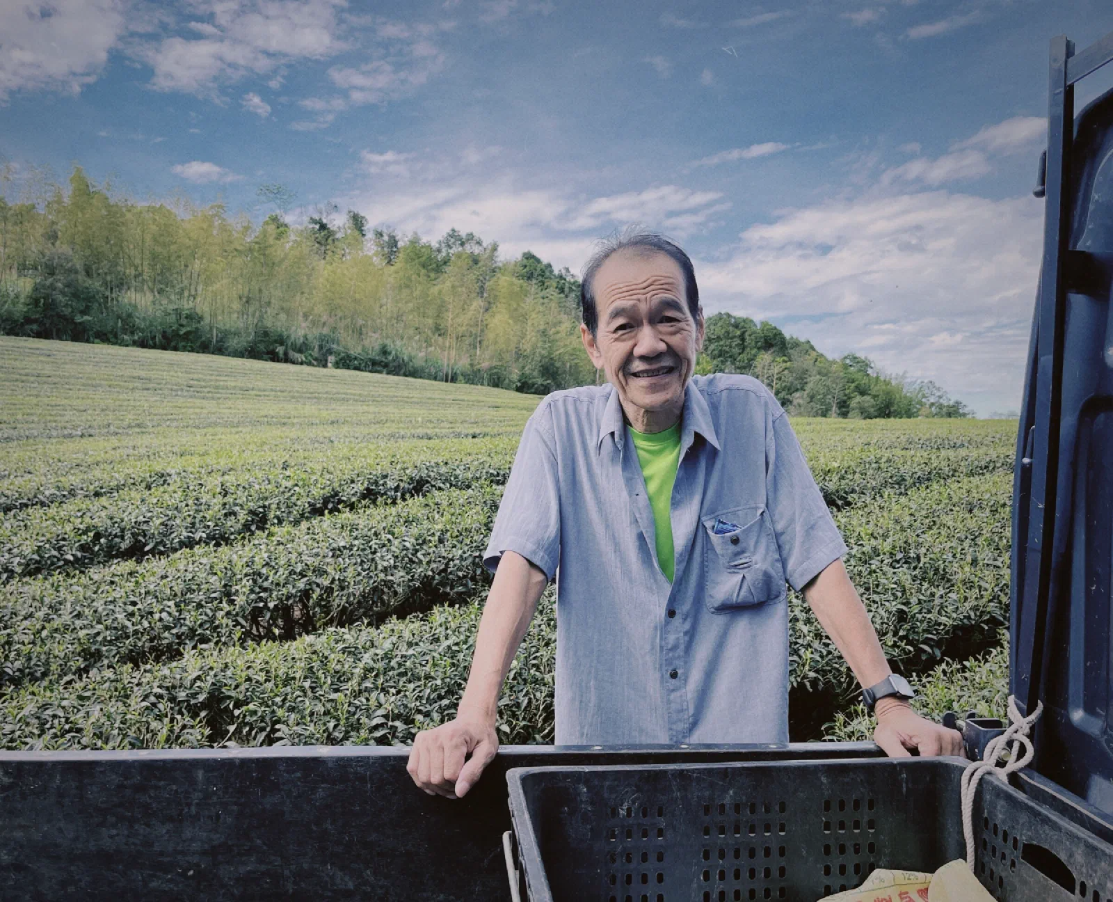 A smiling older man in a grey-blue shirt leans on the side of a truck bed, with rows of tea bushes and bamboo groves behind him.