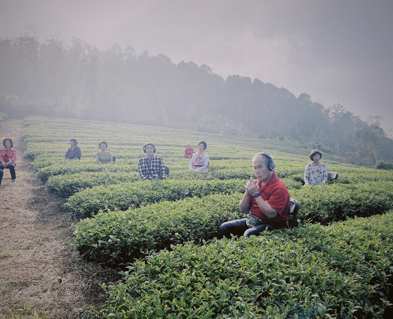 Residents sit on chairs among rows of tea bushes in mist, wearing headphones, one man in a red shirt in the foreground with his hands together.