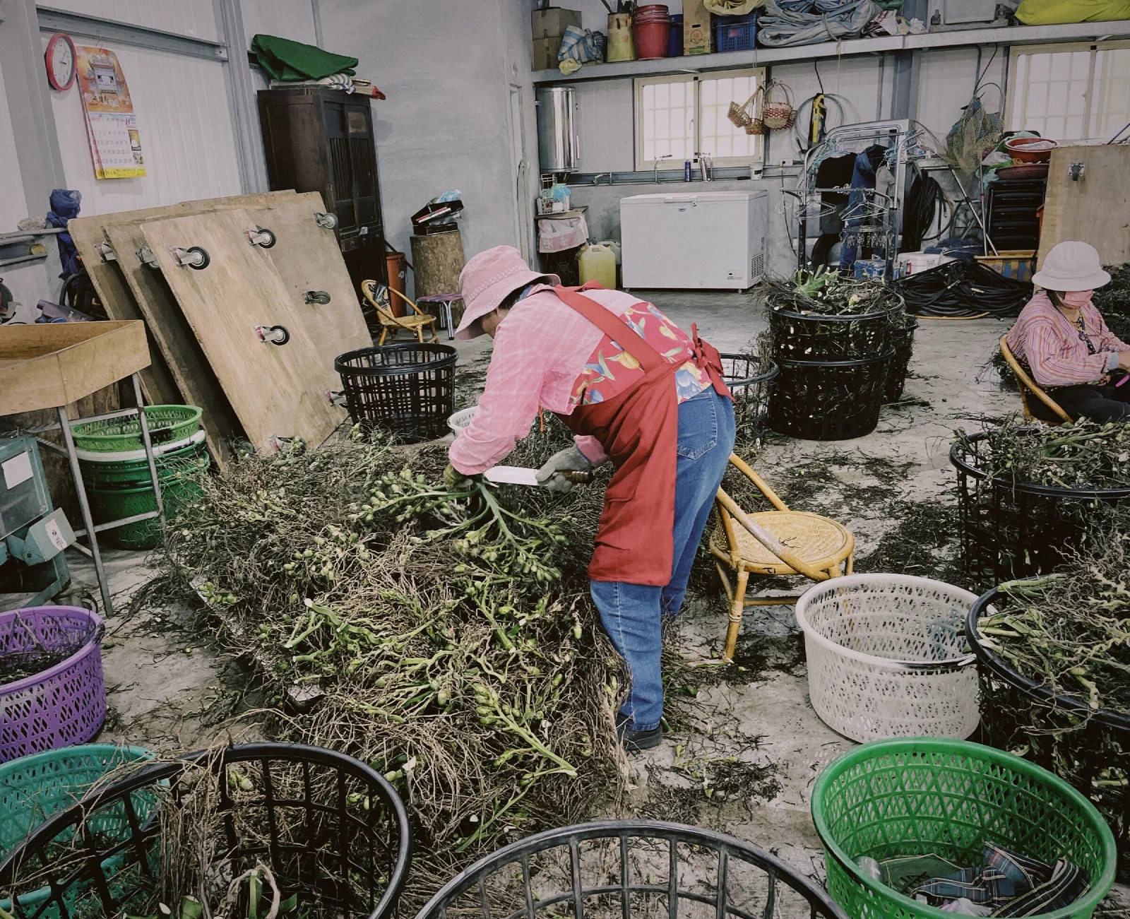 A woman in a pink hat and red apron bends over a heap of areca stems in a workshop full of baskets, cutting nuts free.