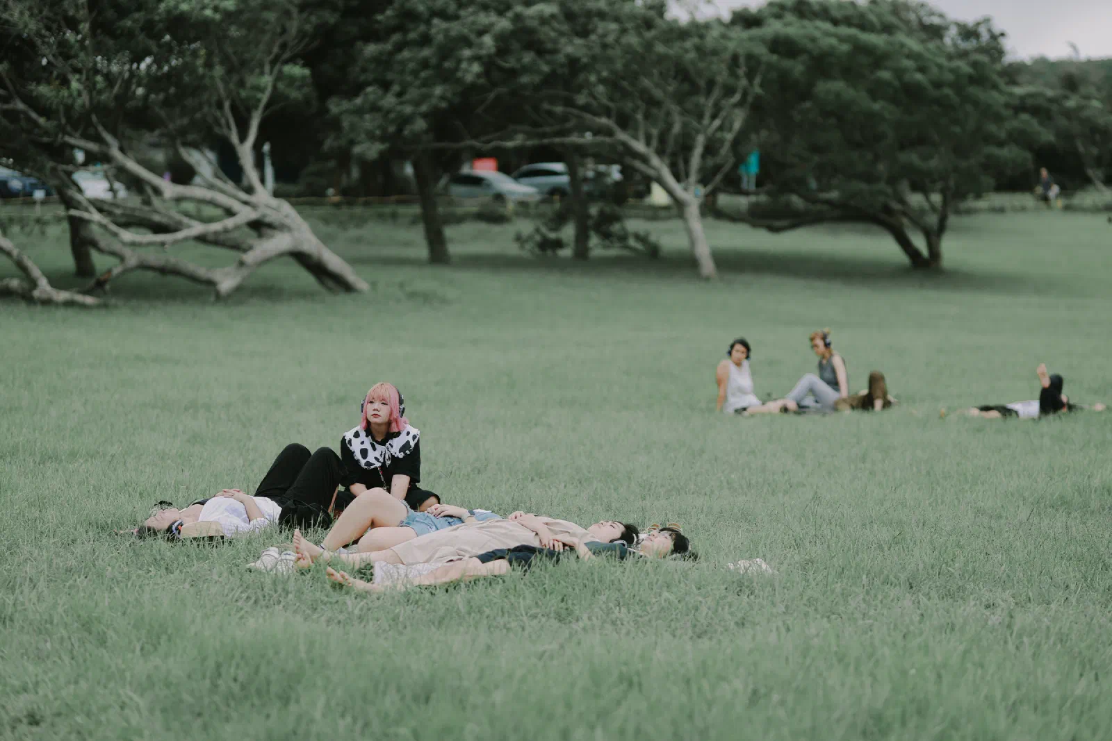 Participants lie in a group on the grass wearing headphones, one person sitting upright with pink hair, with wind-bent trees behind.